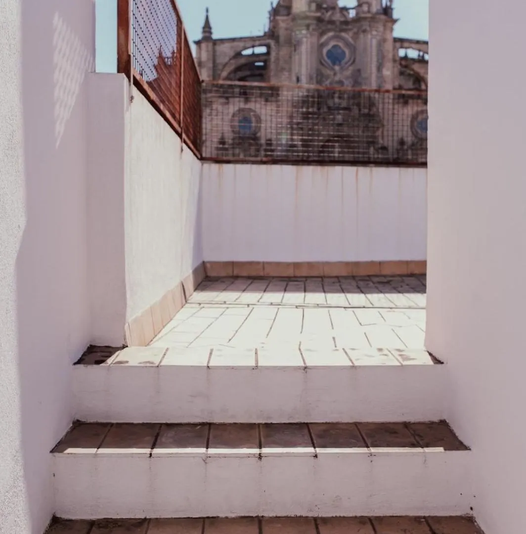 Apartament Solera Jerez de la Frontera Hiszpania