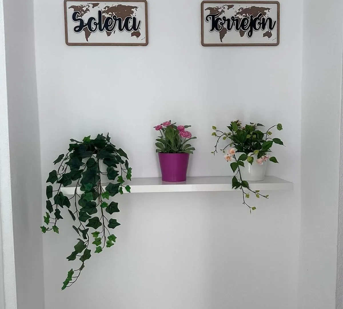 Apartament Solera Jerez de la Frontera